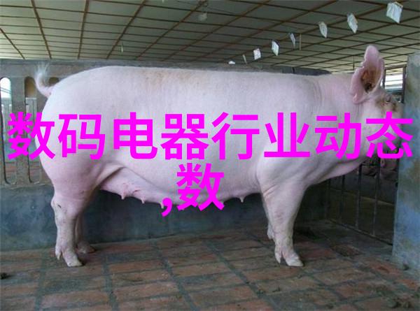 DNF新添管家锁  全方位防御游戏装备被盗