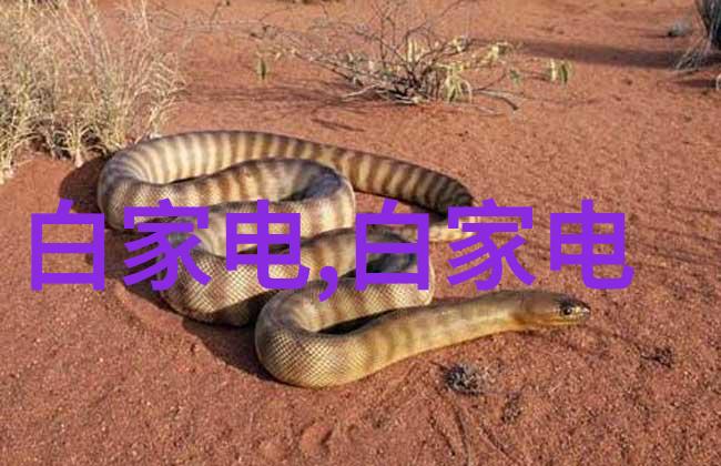 电视剧排行榜2020前十名哪部作品最能撩动观众的心弦